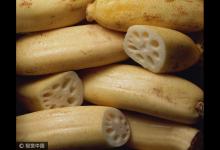 入秋三分虛，進(jìn)補(bǔ)正當(dāng)時！常吃十種寶，勝過冬蟲草
