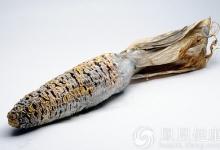 當(dāng)心你身邊的最強(qiáng)致癌物