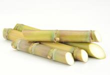 紅棗阿膠補血？我們都被騙了，真正的“補血之王”是它