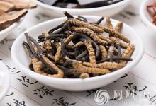 冬蟲(chóng)夏草這樣吃更營(yíng)養(yǎng)！