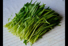 空心菜不僅口感脆嫩，它的功效更強大