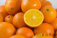 上班族應(yīng)該吃什么水果
