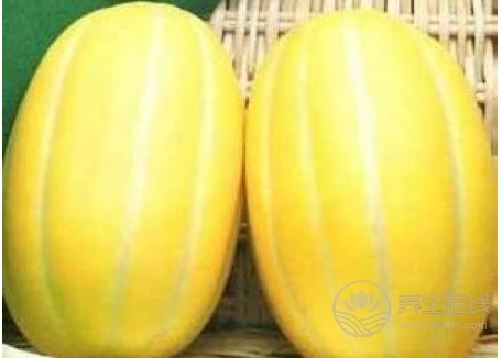 推薦六款瓜類食譜 消暑解渴高效瘦身