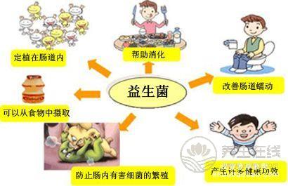 補充益生菌的好處！生活中7種食物富含益生菌