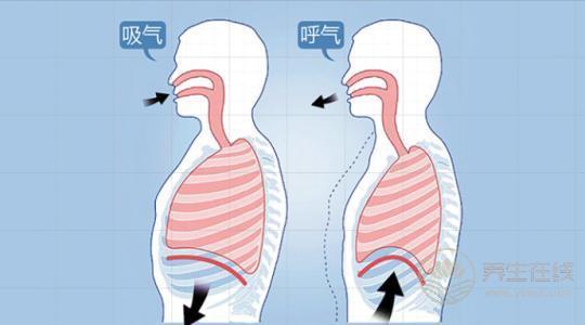 做夢睡不好是因為“血虛”，教你如何養(yǎng)血，從根本解決身體病灶