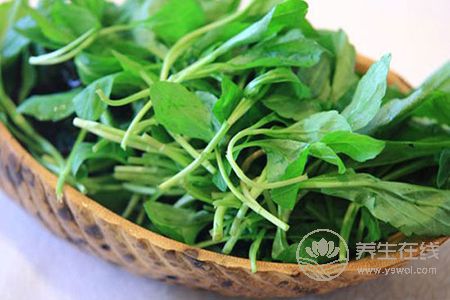 過敏性紫癜怎樣食補好呢?