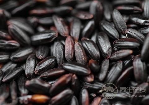 吃黑米不容易餓 揭秘最有效的黑米減肥方法