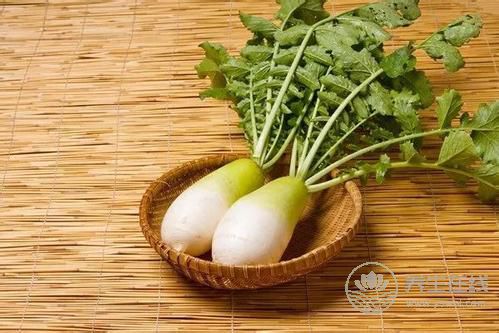 蘿卜瘦身餐 讓你在美味中享瘦