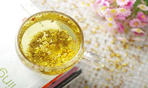 男性秋季五款養生茶 保健身體補足水分