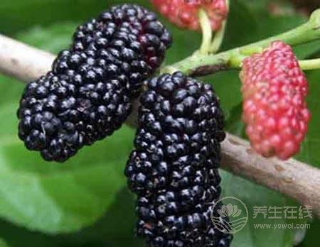 少年白發怎么辦  食療調理恢復濃密黑發