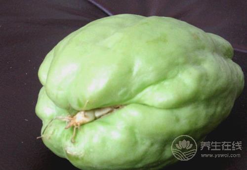 佛手瓜對身體有這些好處，你喜歡吃嗎？