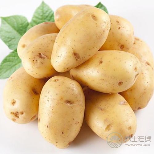 睡眠不好?別常吃安眠藥!這5種食物能讓你安然入眠 睡眠不好?別常吃安眠藥!這5種食物能讓你安然入眠