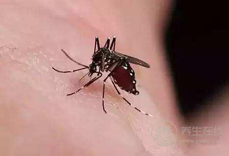 驅蚊八錯誤傷肺致癌 氣霧驅蟲劑造成健康隱患