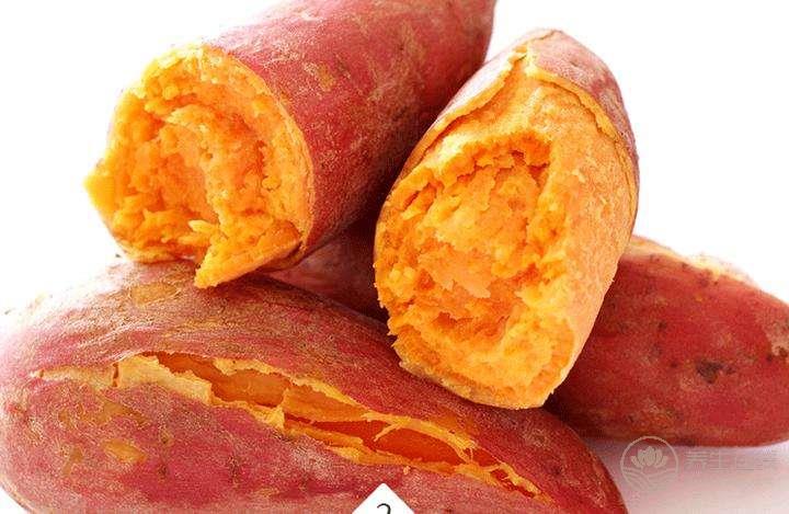 胃不好吃什么養胃 十種食物呵護腸胃