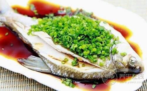 吃魚警惕四大禁忌 空腹吃魚導致“痛風”