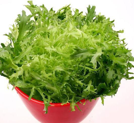6月必吃的蔬菜是它，養(yǎng)生功效極好，您吃了嗎