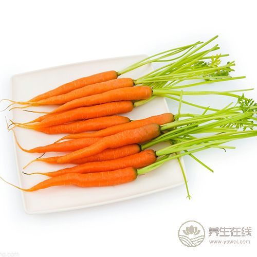肝臟不好,常吃這4種養肝護肝的蔬菜 肝臟不好,常吃這4種養肝護肝的蔬菜