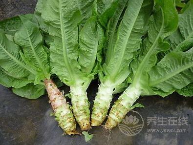 這種菜被稱為降三高小能手,秋冬多吃對身體有好處 這種菜被稱為降三高小能手,秋冬多吃對身體有好處