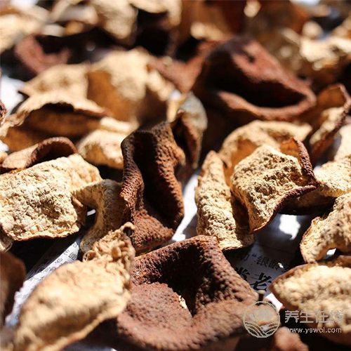 冬天易感冒,常吃4種食物,提高身體免疫力 冬天易感冒,常吃4種食物,提高身體免疫力