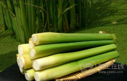 當(dāng)心！！這7種蔬菜沒(méi)煮熟似砒霜