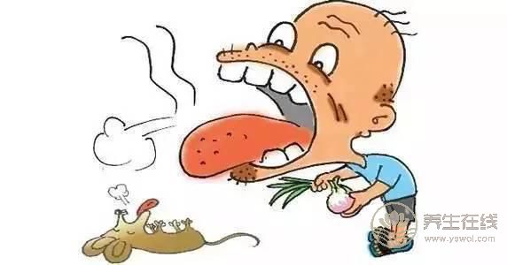 14種去除口臭食物任你選