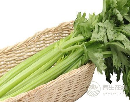 如何清理血液”垃圾“？這物是血液的清道夫
