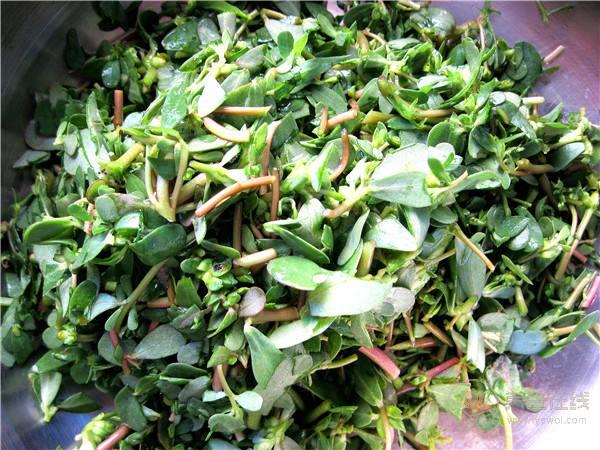 血小板減少怎么辦？這九個(gè)食療方法有效幫助血小板提升