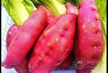 常食薯護(hù)腸養(yǎng)胃  推薦紫薯糯米餅