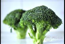 大蒜抗癌有奇效  這5種食物預(yù)防胃癌效果佳