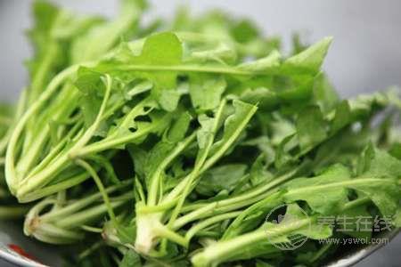 這些植蔬藥食兩用