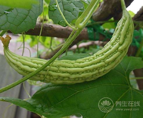 這些秘訣能讓體內(nèi)毒素排干凈!