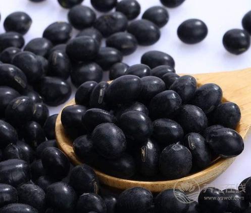 腎不好?4種食物能補腎,常吃讓腎漸漸“回力” 腎不好?4種食物能補腎,常吃讓腎漸漸“回力”