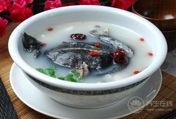 甲魚不能和什么一起吃,甲魚怎么吃最有營(yíng)養(yǎng)