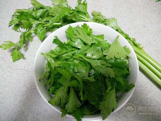 芹菜葉有這么多的養生功效，扔掉可惜了