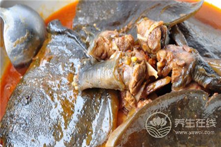 甲魚湯營養豐富，喝甲魚湯的功效是什么？
