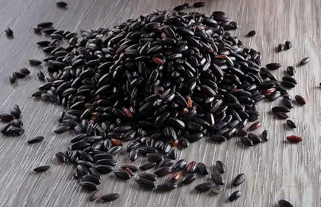 冬補吃什么?5種黑色食物別錯過 冬補吃什么?5種黑色食物別錯過