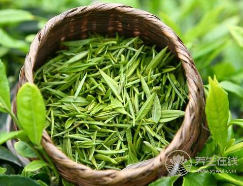 多吃7種“排毒”食物清光體內垃圾 多吃7種“排毒”食物清光體內垃圾