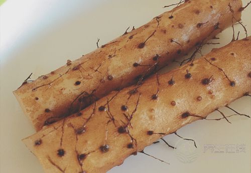 秋季易胃寒,常吃這幾種食物能改善 秋季易胃寒,常吃這幾種食物能改善
