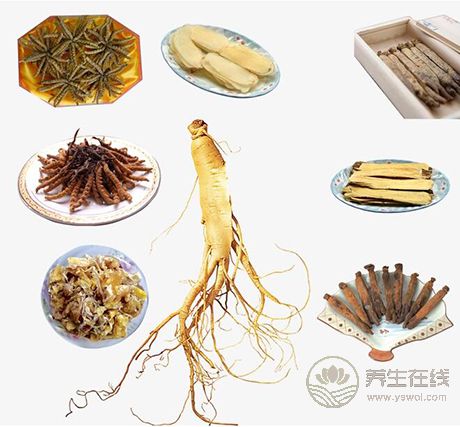 假期補覺睡太多，節后調理以補氣為主