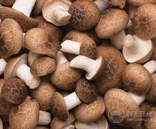 30歲后要關注的健康問題：3種食物能清血管，預防疾病
