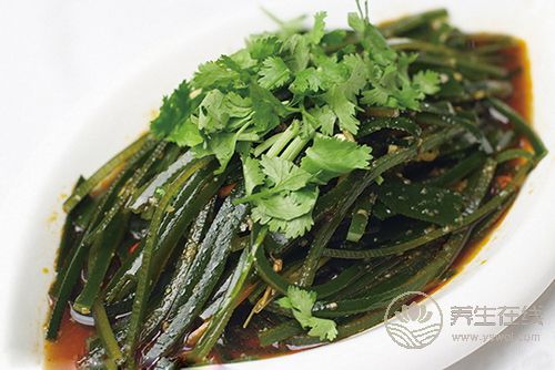 吃完海帶千萬(wàn)別吃這幾樣?xùn)|西 吃完海帶千萬(wàn)別吃這幾樣?xùn)|西
