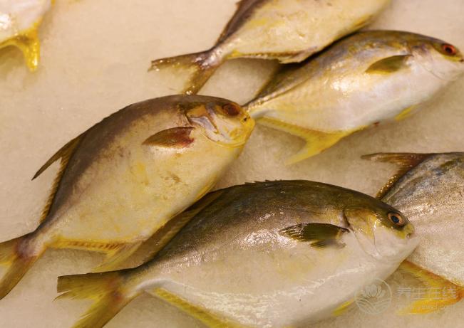 魚肉鮮嫩可口，6種常見魚類的養(yǎng)生作用，你不得不知
