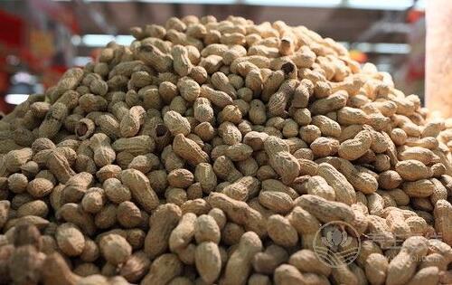 愛吃花生的人身體這5個地方會很好