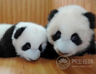 以為有黑眼圈就是睡眠不足？很多人都錯了
