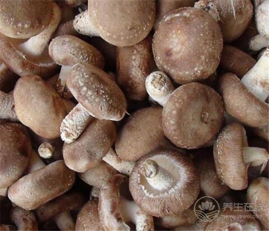 什么東西最養肝?4類不起眼的食材竟是肝臟守護神! 什么東西最養肝?4類不起眼的食材竟是肝臟守護神!