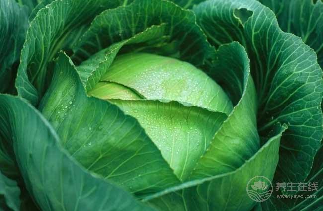 5種食物是血管清道夫，多吃保護(hù)血管