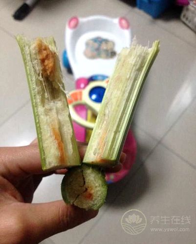 水果爛了一部分,挖掉剩下的還能吃嗎? 水果爛了一部分,挖掉剩下的還能吃嗎?