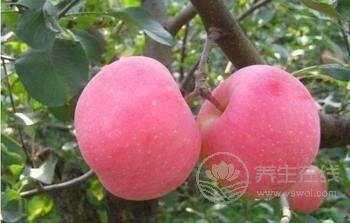 糖友可以吃的低糖水果你知道幾個？
