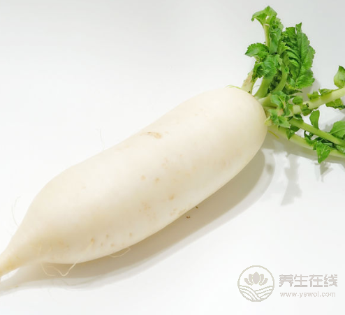 這些食物堪比人參,滋補又營養,你吃了嗎? 這些食物堪比人參,滋補又營養,你吃了嗎?