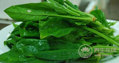 想補鐵，吃紅棗還是菠菜效果好